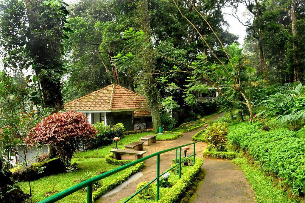 The Tall Trees Munnar Exteriör bild