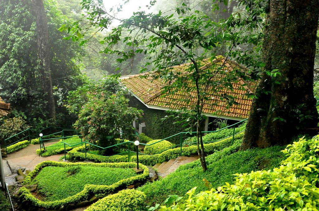 The Tall Trees Munnar Exteriör bild