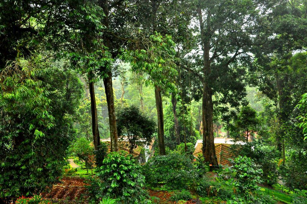 The Tall Trees Munnar Exteriör bild