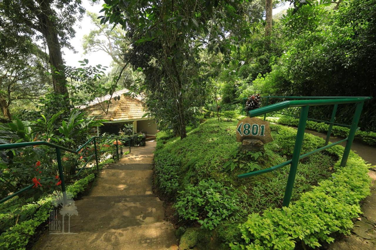 The Tall Trees Munnar Exteriör bild