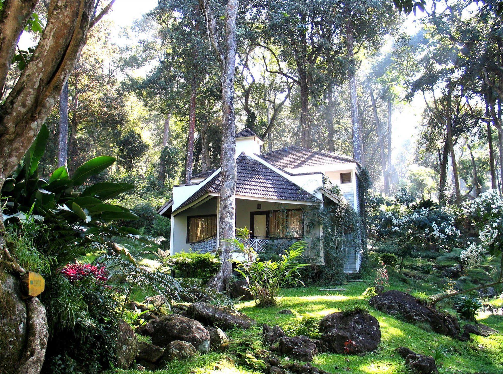 The Tall Trees Munnar Exteriör bild