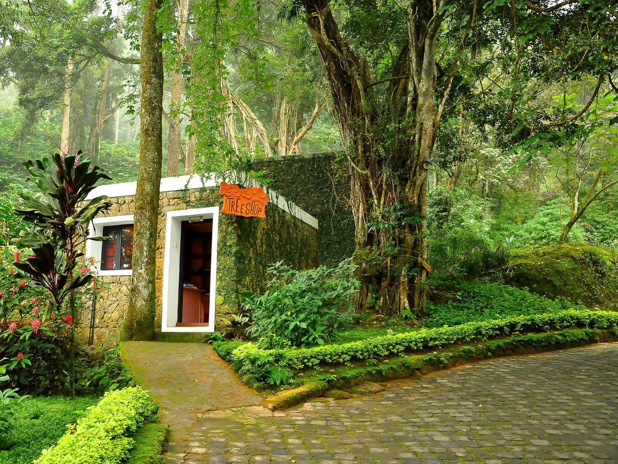 The Tall Trees Munnar Exteriör bild