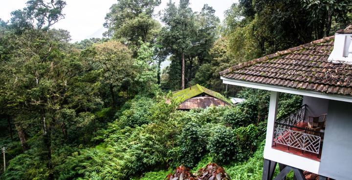 The Tall Trees Munnar Exteriör bild