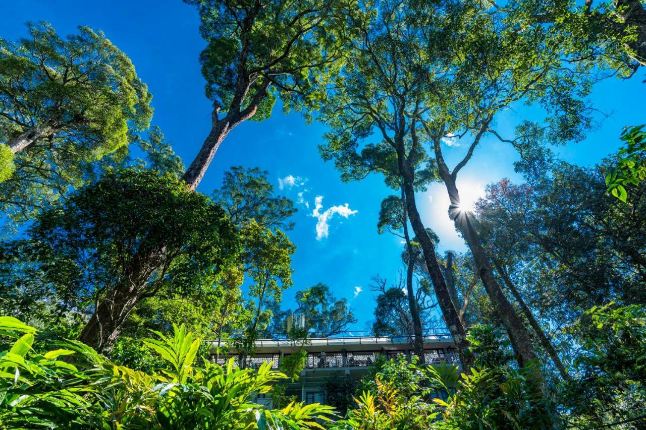 The Tall Trees Munnar Exteriör bild