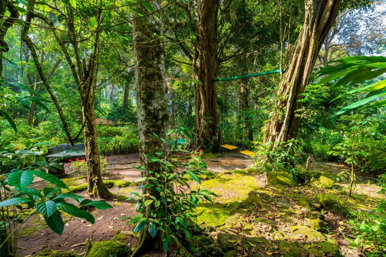 The Tall Trees Munnar Exteriör bild