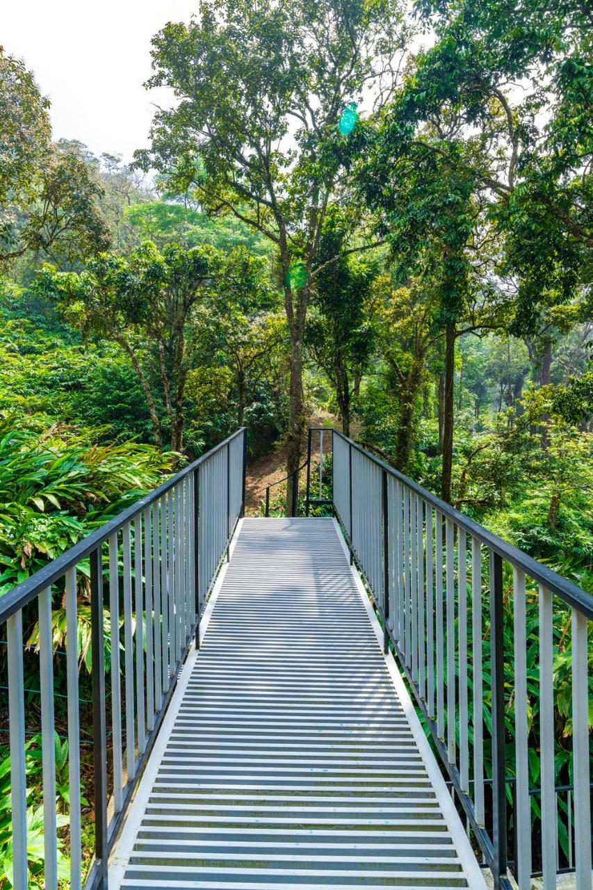 The Tall Trees Munnar Exteriör bild