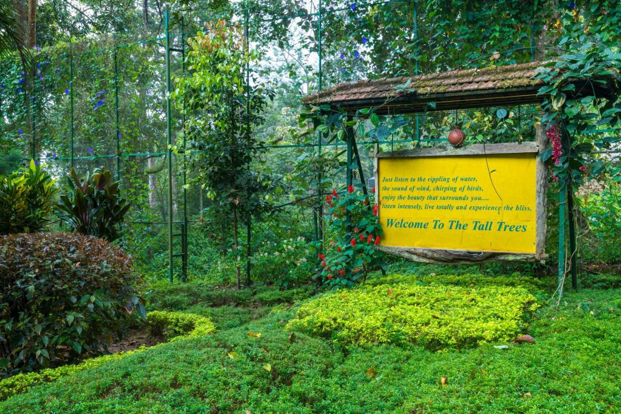 The Tall Trees Munnar Exteriör bild