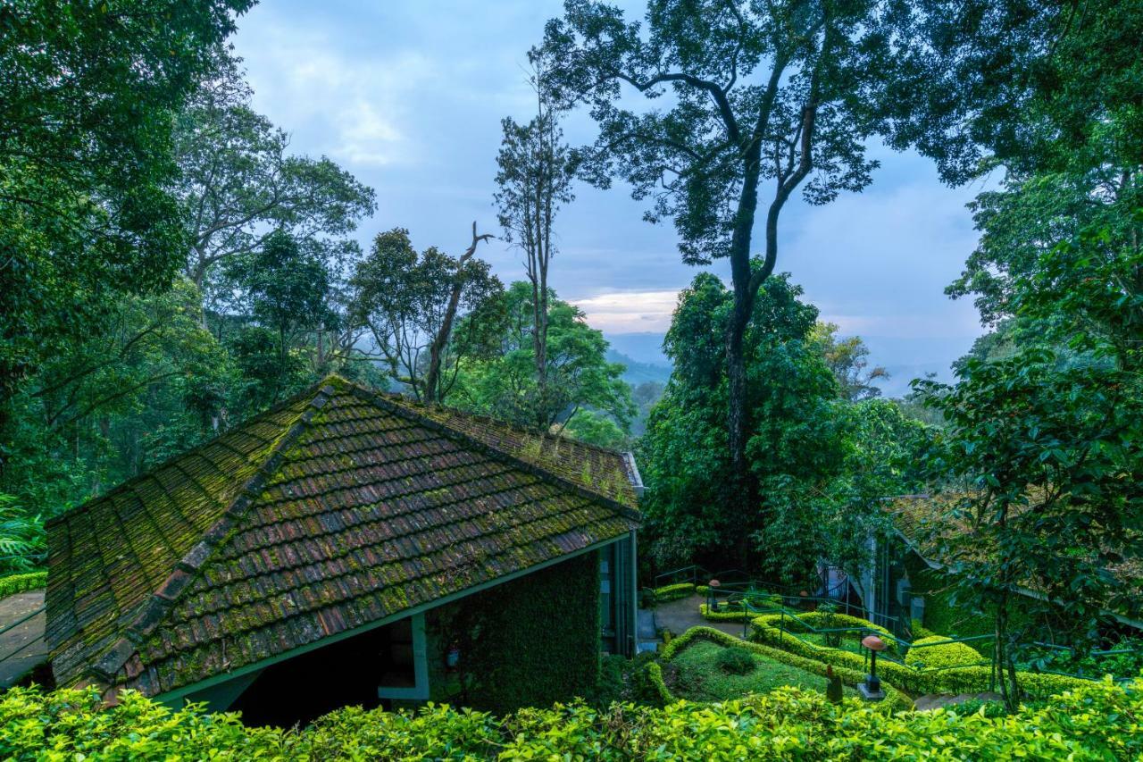 The Tall Trees Munnar Exteriör bild